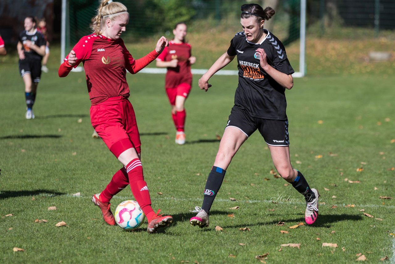 Bild 160 - F RS Kiel 2 - SV Henstedt Ulzburg 2 : Ergebnis: 1:3